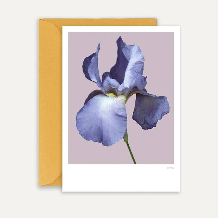 Karte bärtige Iris 01